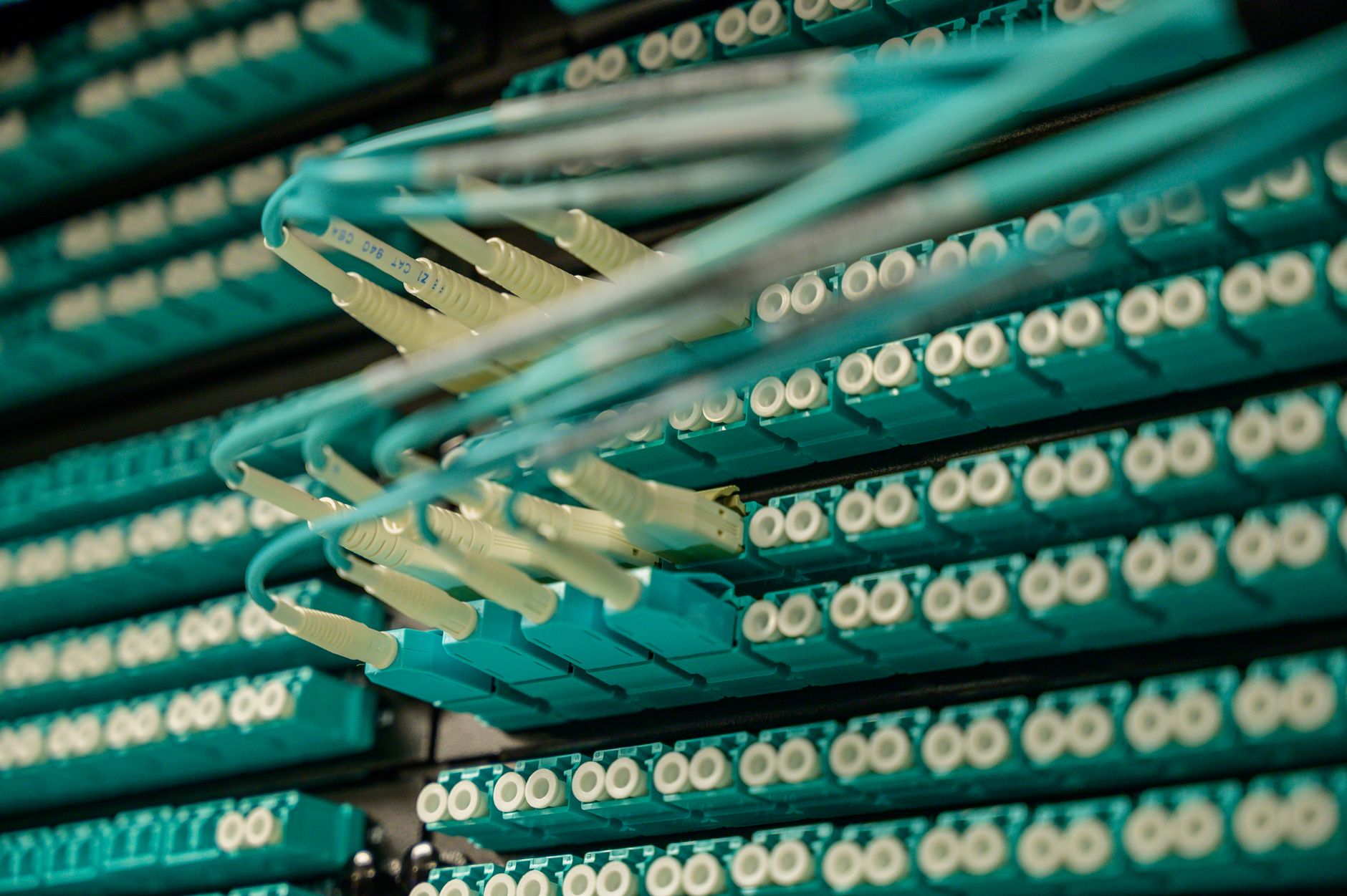 Fiberkabler med forskellige farver samlet i bundter